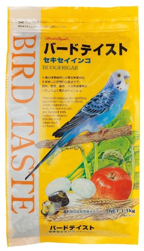 バードカービング(セキセイインコ) 木から生まれたセキセイインコさん インコ 小鳥の置き物 バード